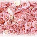 행복한 날 이미지