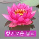 백우상회 이미지