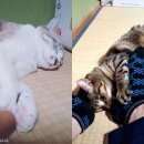 세차의이유 이미지