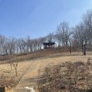 위드미펫살롱 이미지