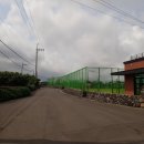 금성리 노인회관 이미지