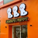 예쁜강아지 | 인천애견샵 추천! 건강하고 예쁜 강아지 분양 후기