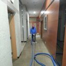 카페트세탁 스팀지니 이미지