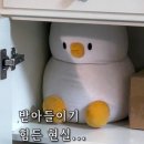 정보처리기사 실기1 | [자격증] 정보처리기사 실기 1회 응시&amp;공부 후기