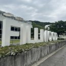 필무드ㅣ서울 근교 드라이브 파주 데이지 만개 대형카페 방문 내돈내산 후기