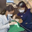 서울안아프게치과의원 이미지