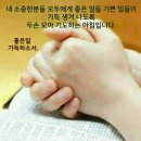 이*하 - 미추홀구 독정안길 | 이*하