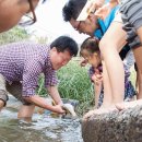 효성식당 이미지