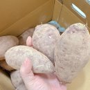 주식회사 더 샘터 네이버블로그