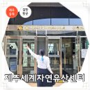 제주세계자연유산센터 세계유산전시관 | 제주도 동쪽 아이와 갈만한곳 제주 볼거리 세계자연유산센터