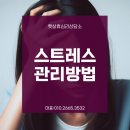 휴심리상담소