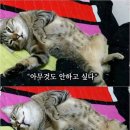 더블클릭PC방 이미지