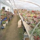 둘리 농장 이미지