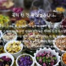 성주평생교육센터 이미지