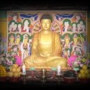 대지(大地)의 꿈 이미지