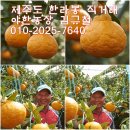 김규철농장 이미지