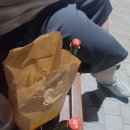 복싱홀릭 | 대동제를안간사람