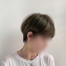 다듬헤어 - 전주시 완산구 백마산길 19 | 다듬헤어