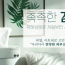 체스(CHES) 이미지