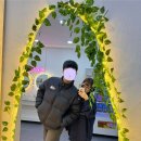 호진컨설팅 이미지