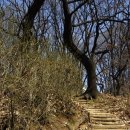 서리풀공원1-30 이미지