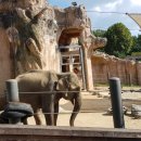 상아어린이공원 이미지