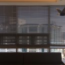 이호영소아청소년과의원 이미지