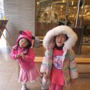 샤브20 연산점 이미지