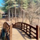 수리산산림욕장 | 수리산 산림욕장 방문 후기: 자연 속의 평화로움