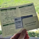 정선 메이힐스 리조트_하이원 스키장 숙소, 메이힐스 리조트 메이플 룸 후기