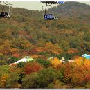 대공원입구로 이미지