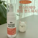 미스터워시 | 가방에 쏙 들어가는 휴대용핸드워시, 미스터제타 포밍 핸드워시 후기