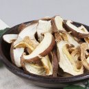 버섯결