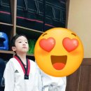 참사람태권도 이미지