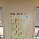 카이로 바른 척추교정 이미지