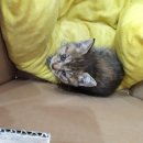 용연로 195번길 이미지