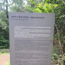 온평리-7 이미지