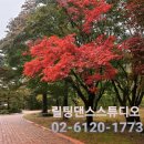 릴팅댄스스튜디오학원 이미지