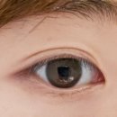 세븐일레븐노원제일점 | [계절뷰티] 노원 속눈썹펌 자연스럽게 예뻐지는 계절뷰티 방문기