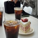 펫 친구 | 수원 신동카페, 뷰와 디저트가 완벽했던 수원펫프렌들리 카페, 공간상점 신동점
