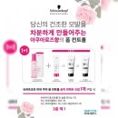 테디헤어코스메틱 이미지