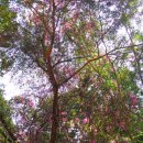 세상을쓰다 이미지