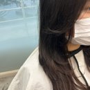 하이헤어 - 익산시 | 대구 침산동 미용실 유이스트헤어 하이레이어드컷 후기