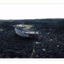 빌렛동산 이미지