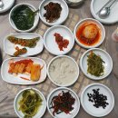 용운산장 | 매운탕 맛집, 뷰 맛집 옥정호산장(임실군 운암면 옥정호)