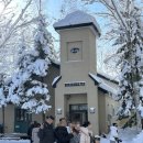 개멋지개 | 훗카이도 비에이투어 내돈내산 솔직후기2편 (탁신관 사계채언덕 흰수염폭포)/삿포로베이스캠프