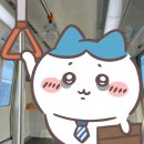 소두근 | ꗯ바잘 [스터드 로고 오버핏 볼캡] 사용 솔직 후기 / 오버핏 볼캡 기본템 추천 ⋆｡˚ ❁