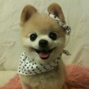 멍미 이미지