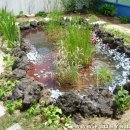 장락초등학교 이미지