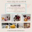 샤인플랜트